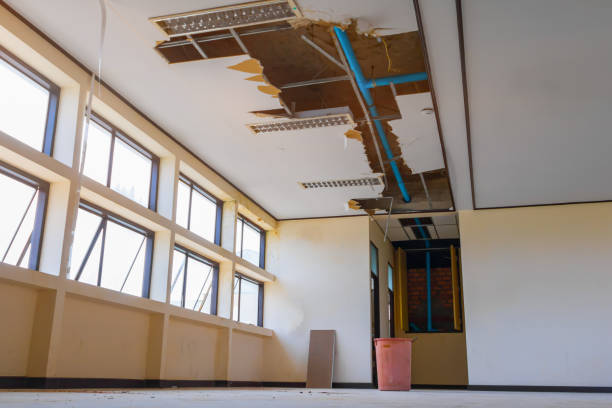 Best Water damage cleanup near me  in Ephrata, PA