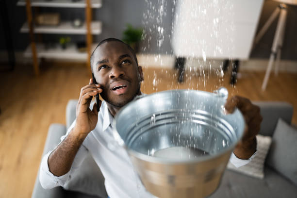 Best Flooded house restoration  in Ephrata, PA