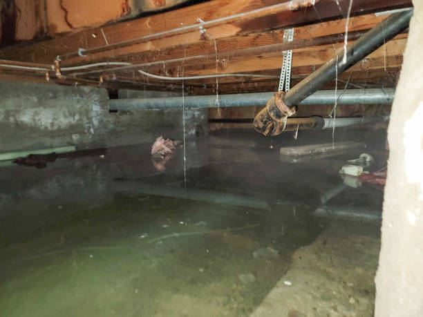 Best Commercial water damage restoration  in Ephrata, PA