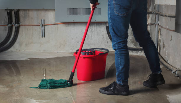 Best Flooded house restoration  in Ephrata, PA