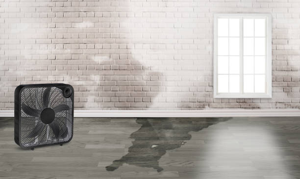 Water damage restoration process in Ephrata, PA