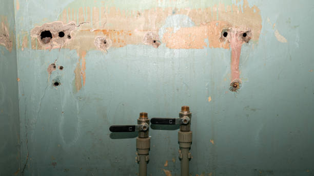 Best Flood restoration services  in Ephrata, PA