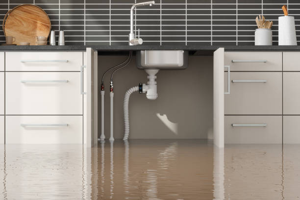Best Local water damage restoration  in Ephrata, PA
